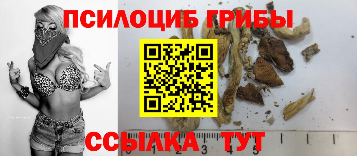 Псилоцибиновые грибы ЛСД  Галлюциногенные грибы Psilocybe  Вход с VPN  Солнечногорск 